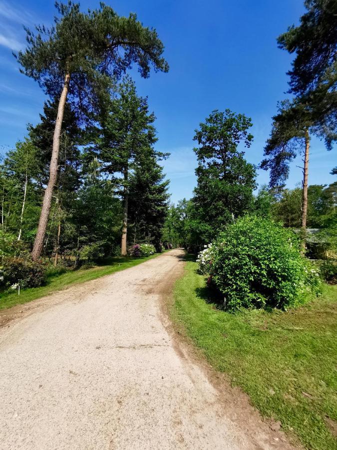 Scandinavian Lodges Holten Eksteriør billede